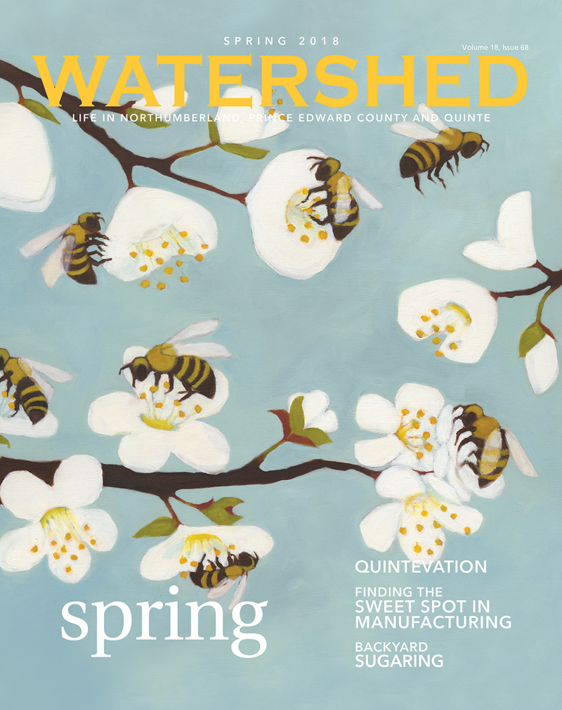 Watershed Magazine Spring 2018