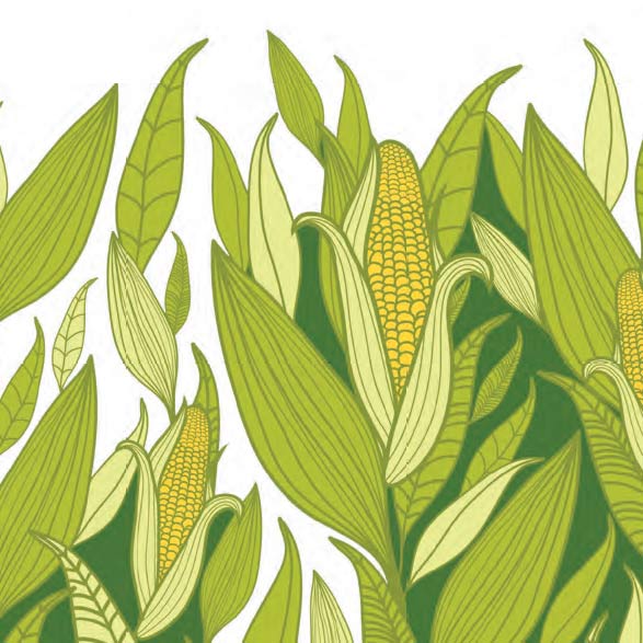 Must, Must, Must Fall 2020 - Image of corn