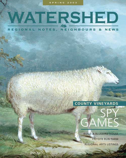 Watershed Magazine Spring 2003 Cover